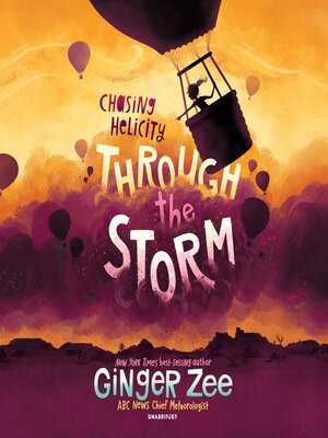 Through the Storm - Audiobook